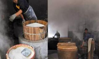 无锡太湖翠竹 无锡太湖翠竹