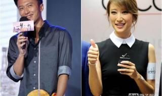 王菲演唱会 王菲演唱会